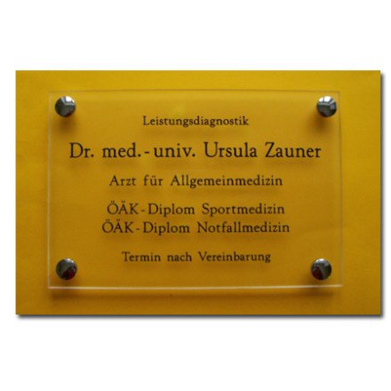 Plexiglas Schild durchsichtig Befestigung Mini silber glanz